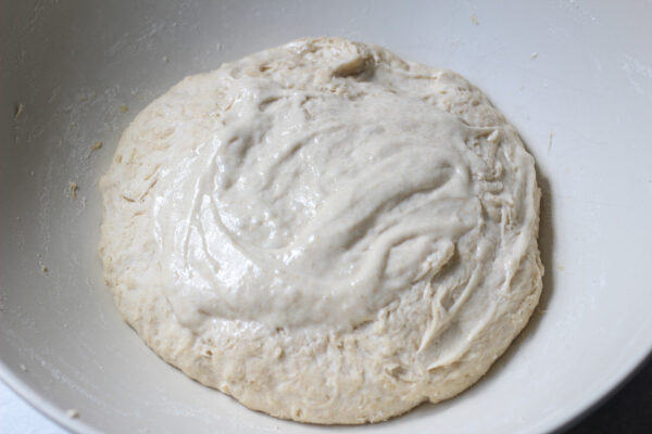 sourdough pizza dough with starter added