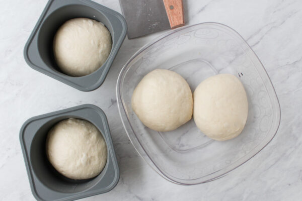 sourdough pizza dough in containers for cold fermentation