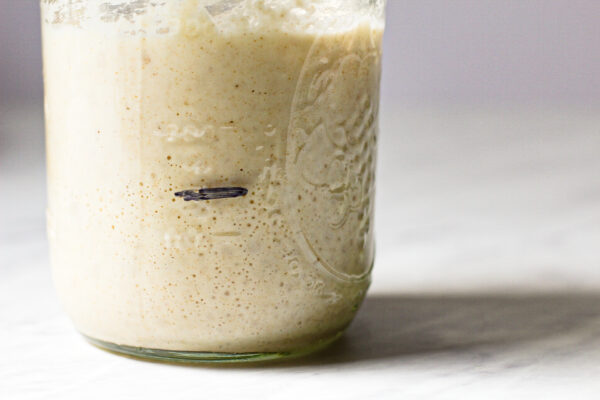 mason jar with sourdough starter at its peak with a sharpie line indicating growth