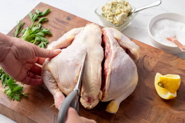 demonstration of a whole chicken being cut on the left side of the backbone for spatchcocking 