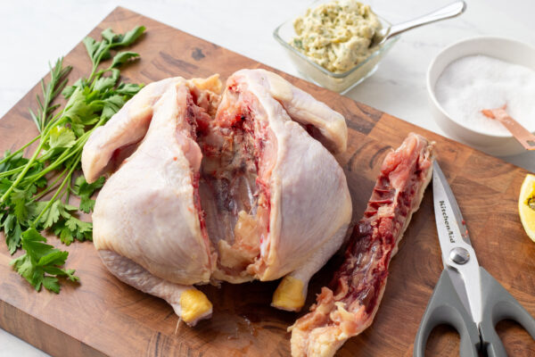 demonstration of backbone cut out of whole chicken for spatchcocking cooking method 